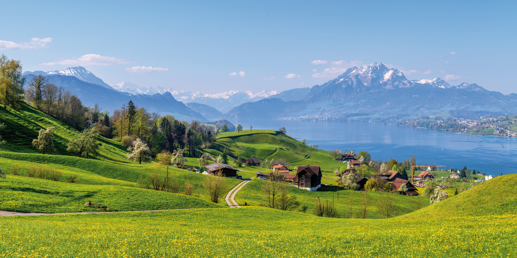 Headerbild