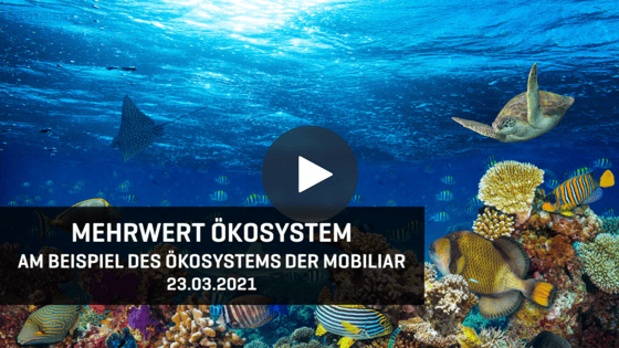 Video Mehrwert Ökosystem - Webinar 1